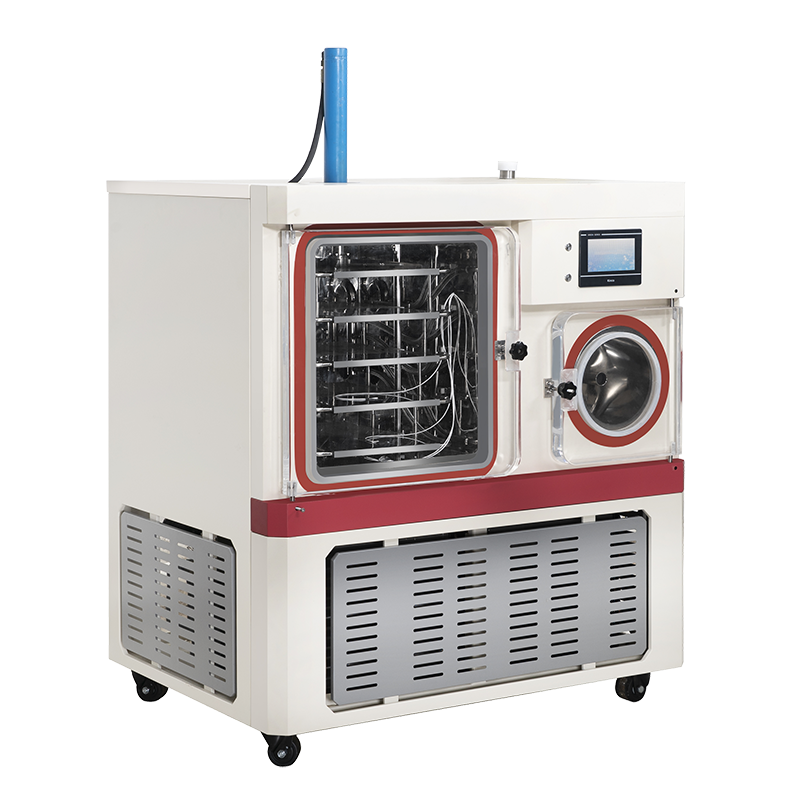 Hot Sale Quality Pilot Vacuum Pump Large Freeze Dryer Cheap Price
