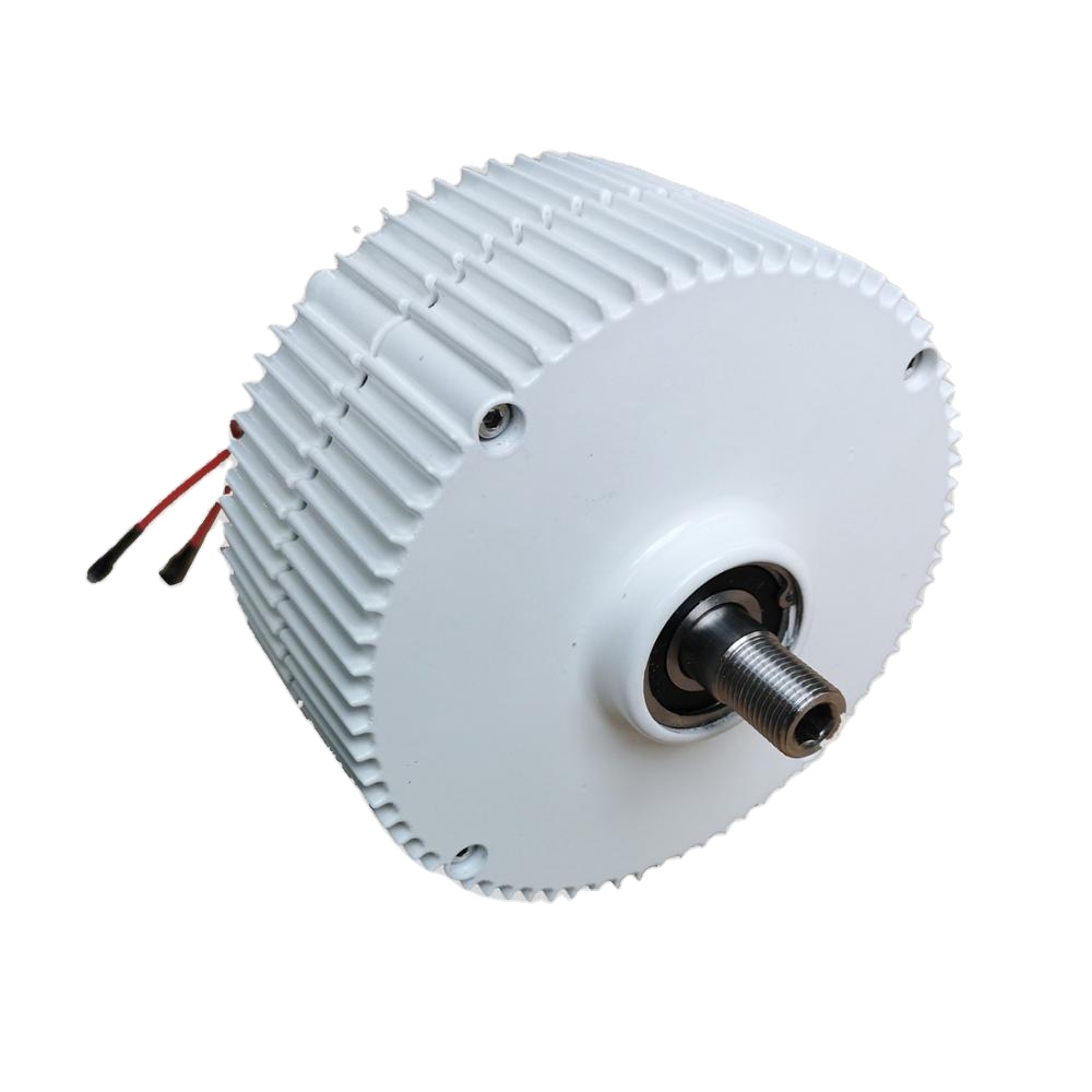 300W 750 об/мин постоянный магнит генератор 12V 24V Мини PMG для ветровой турбины