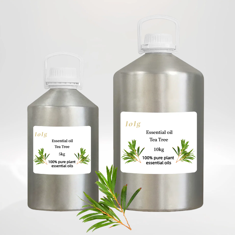 100% Natural Tea Tree Organic Oil Acne Massage Oil Essential oils wholesale