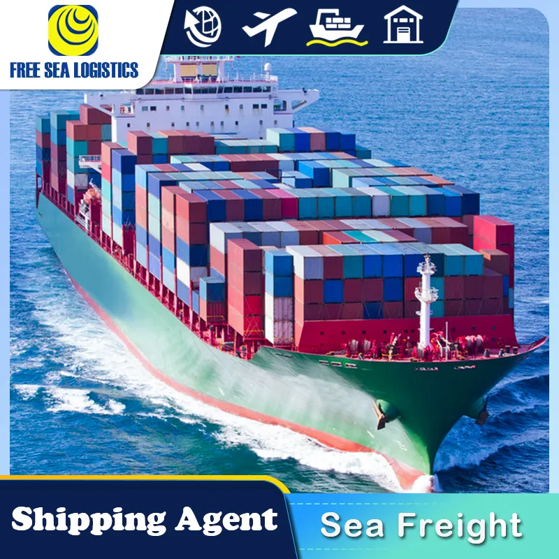 DDP DDU sea freight China Shipping To Saudi Arabia  Omen Qatar UAE Dubai  Agent freight LCL