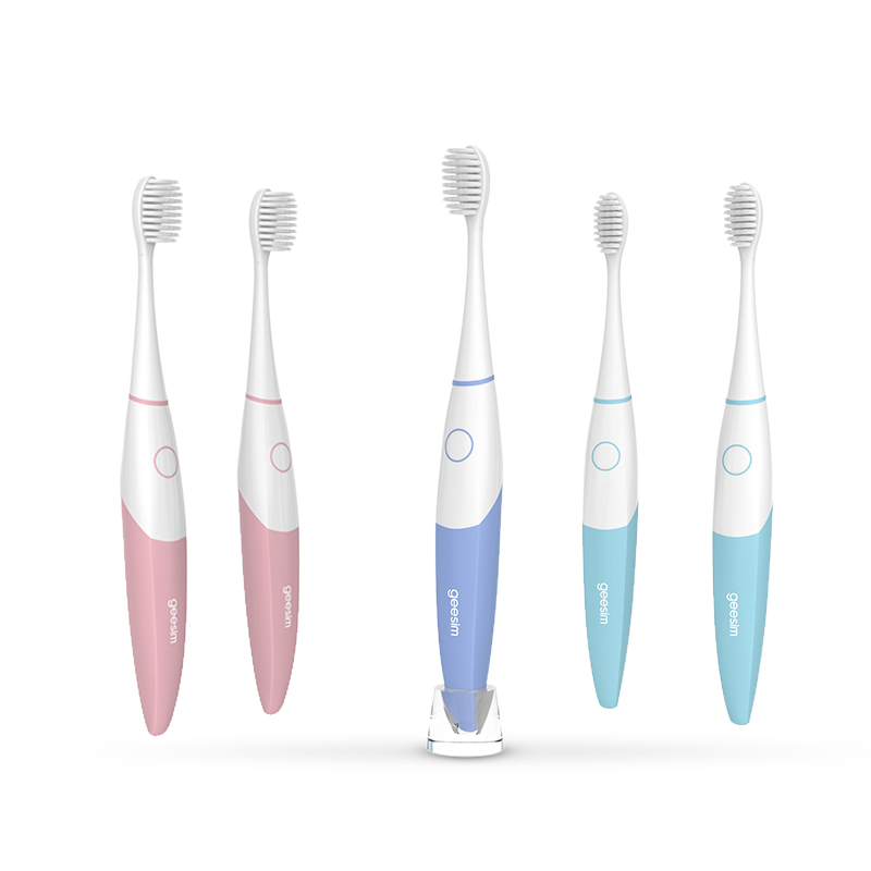 Guangdong Adult Battery Electric Toothbrush VIP High Quality Vibration for Good Health with Waterproof IPX7 Toothbrush