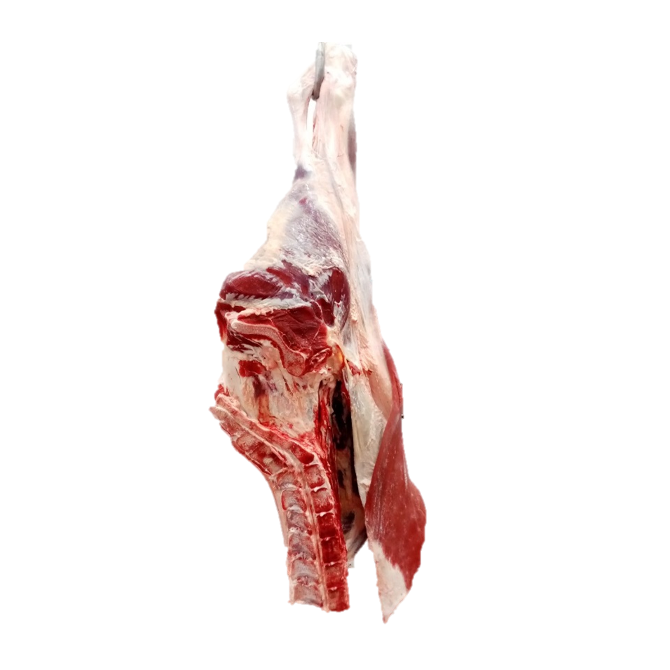 High quality Meat beef cut Hindquarter on the bone frozen meat product direct supply from Belarus manufacturer