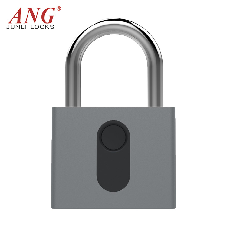 Newest Design Blue Tooth Fingerprint Electric Security Hotel Home Keyless Smart Door Lock