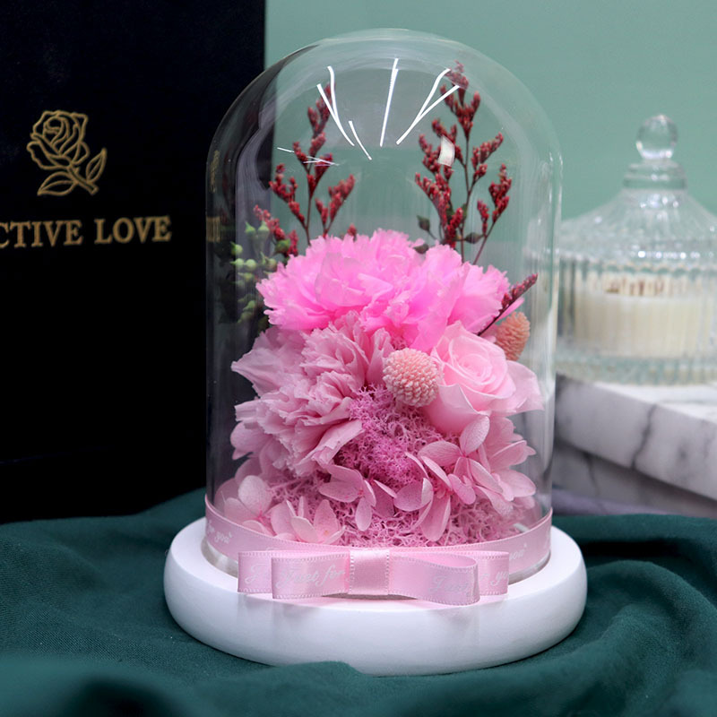 wholesale eternal flower carnation glass dome for celebration party photo prop