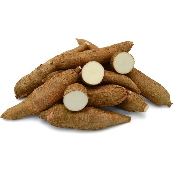 Свежие клубни кассавы
