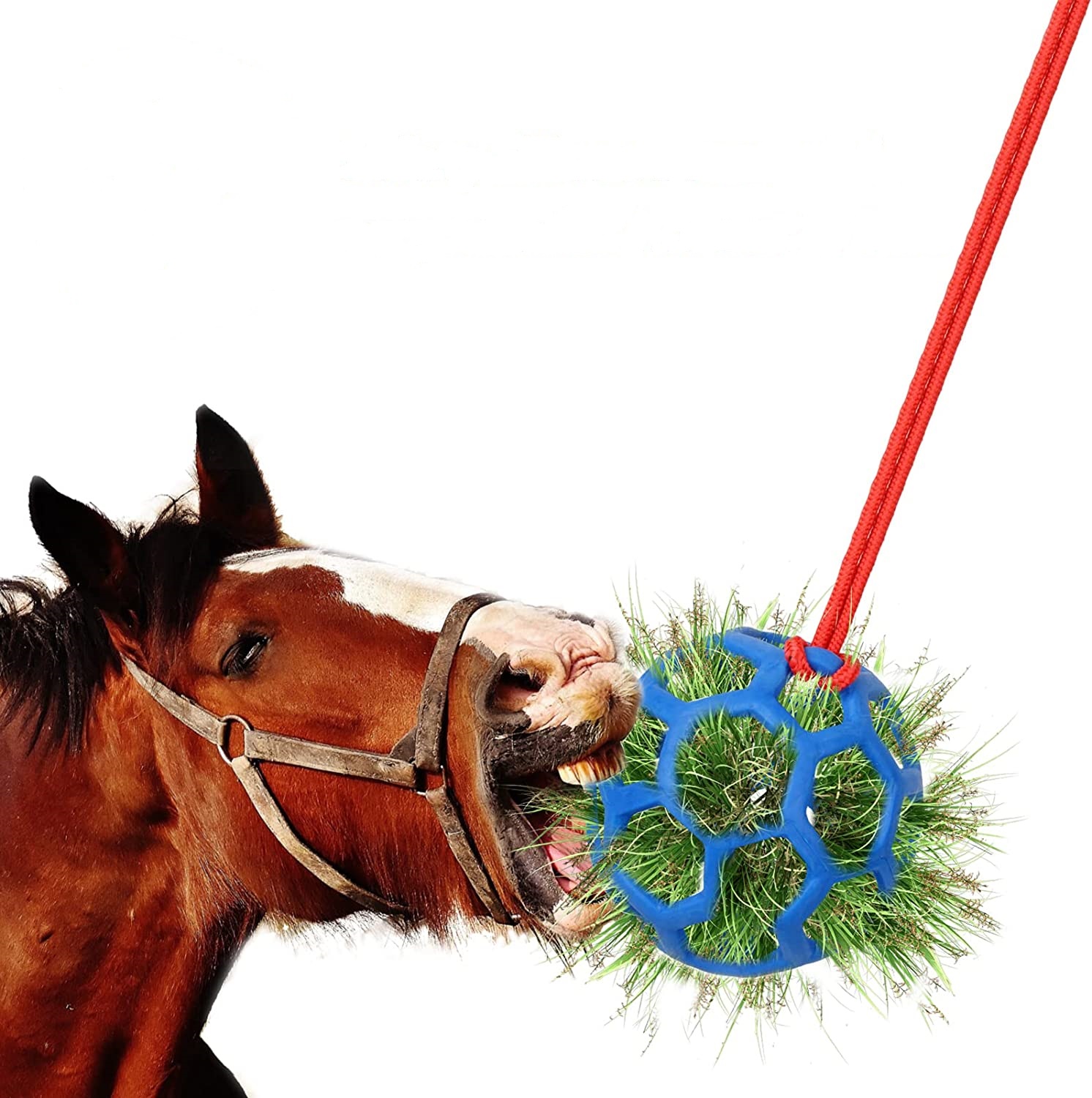 Популярный кормящий шар Equine для лошадей, синяя медленная кормушка, сенный шар, подвесная кормушка, игрушка для лошади, козы, овцы, снятие стресса