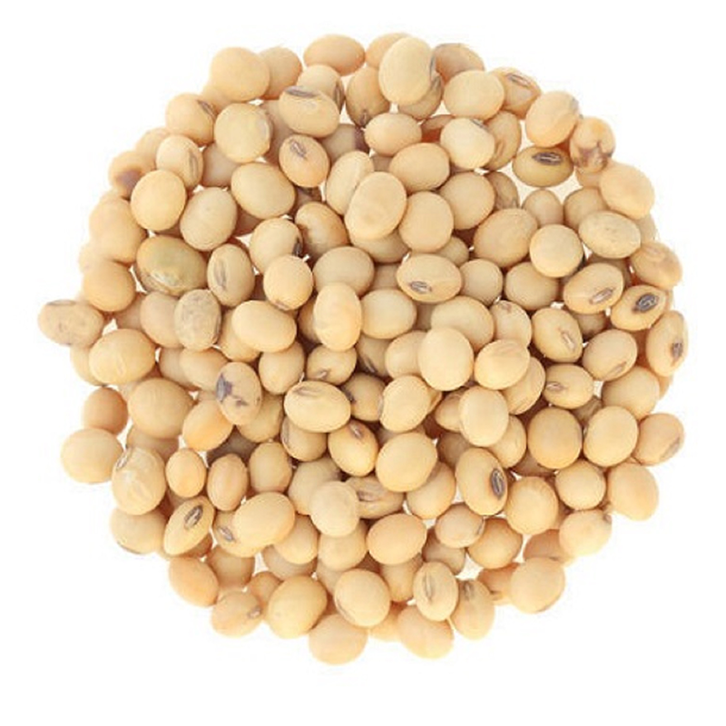 High Grade Good Quality Soy Beans Raw Soybean Grain In Bags Organic Bulk Soybean Seeds