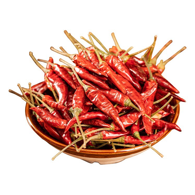 Fresh Chili Non Toxic Premium Organic chili From China Manufacturer