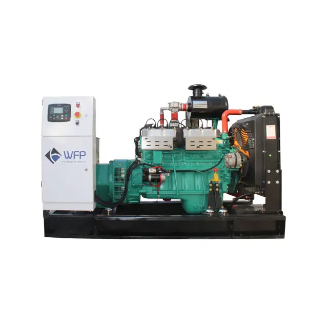 Hot sale WFP brand natural gas and biogas generator set