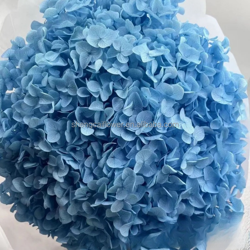 Wedding or Home Decoration Wholesale Preserved Natural Stabilized A Big Leaf Hydrangea Flower