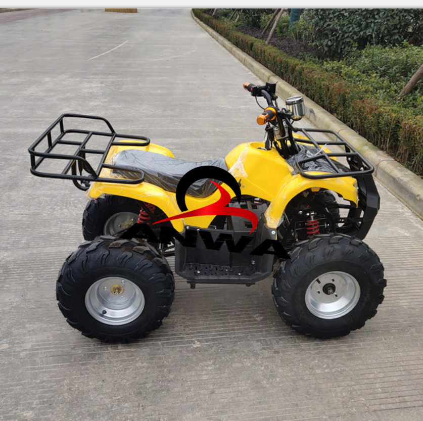 Вал привода бесщеточный мотор 750W 48V 1000W 48V Электрический квадроцикл с CE
