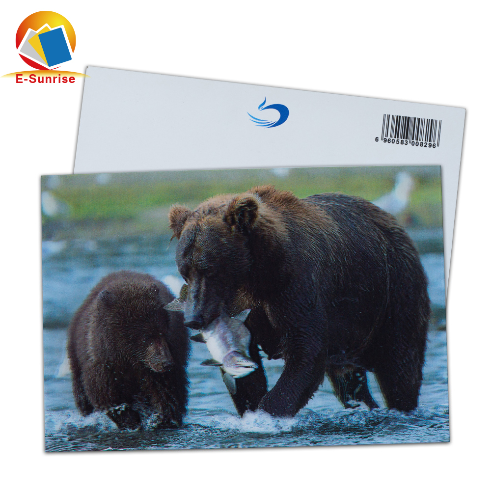Сувенир 3D линзовидные Postercard Красочные PET + 0,16 мм бумага с покрытием