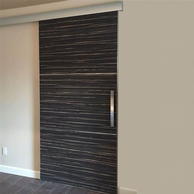 Germany style custom good quality modern sliding barn doors internal modern black barn doors