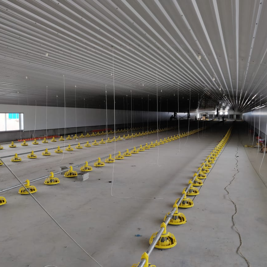 Prefab Light Steel Structure Steel Structure Broiler/egg Coop