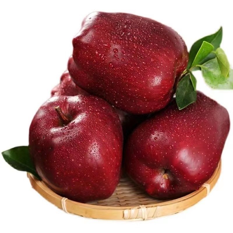 Оптовая продажа экспорт вкусная Цена со скидкой высокое качество свежие фрукты красное яблоко