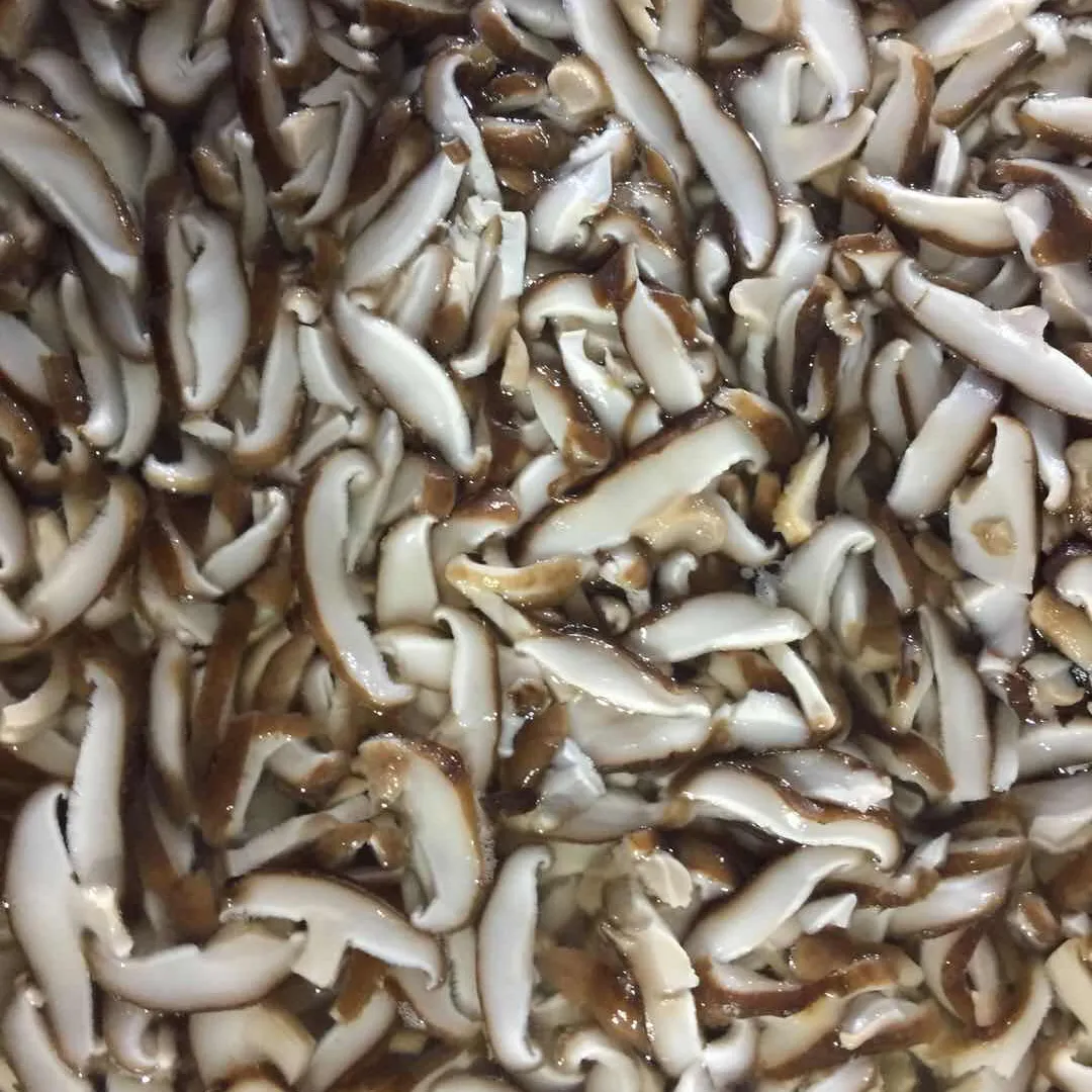 Low Price Marinate Salty Flavor Canned Strips Shiitake Mushroom