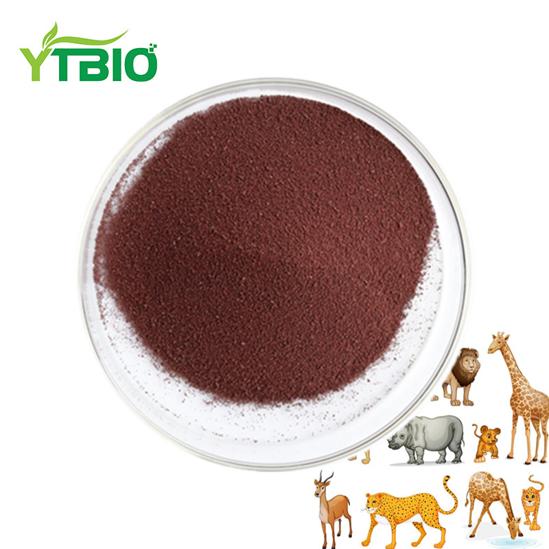 Корм сорт рыбы 10% Astaxanthin