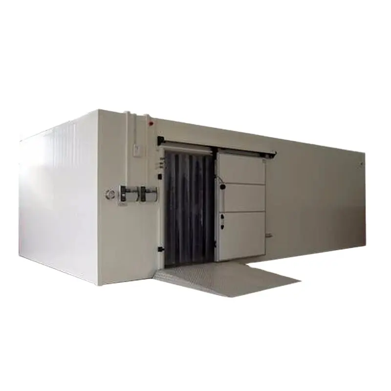 Commercial cold room walk in freezer cold storage for fish