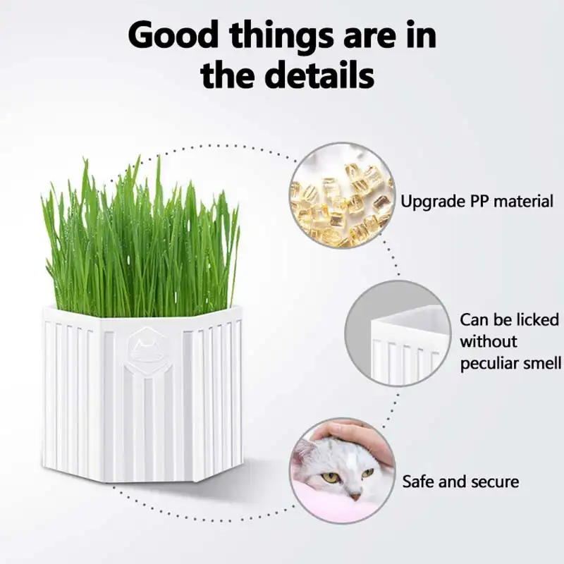 Cat Snack Seed Breeding Hydroponic Planting Kit Cat Grass Cat Supplies