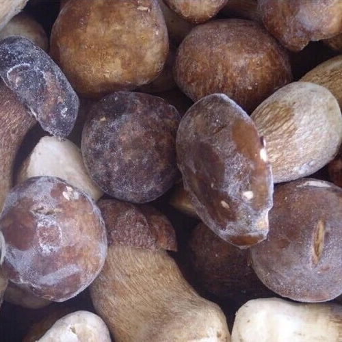 Цена по прейскуранту завода высокое качество оптом замороженные Boletus Edulis целые 2-4 см