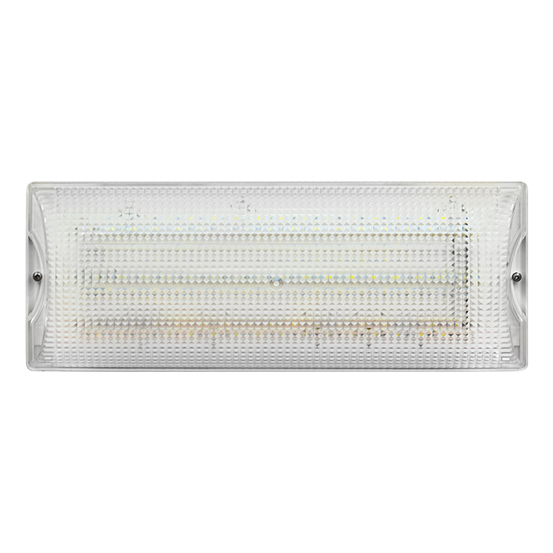 220V LED Lamp Emergency Light CE standard