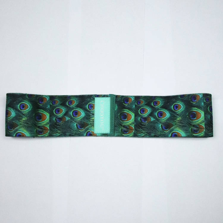 CHOOYOU ODM/OEM Widerstandsbander fitness equipment adult waist simplify resistance loop peacock fabric bands