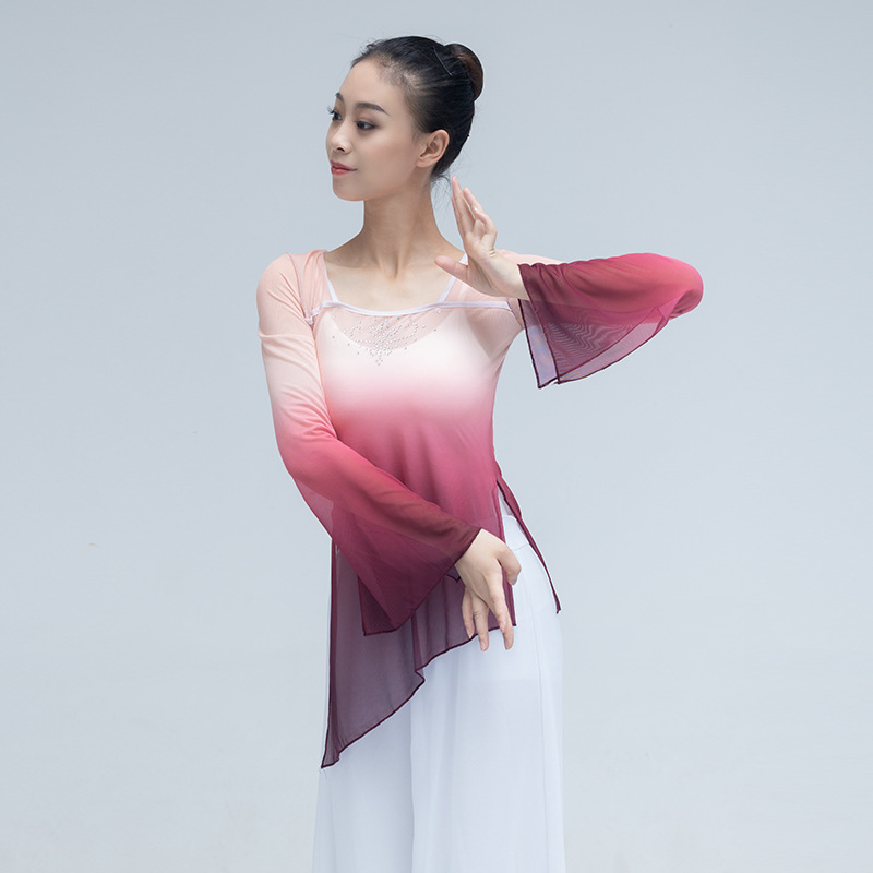 Classical Dance Body Rhyme Gauze Dress Practice Chinese Test Gradual Female Blouse Ballet Performance Ethnic Clothes