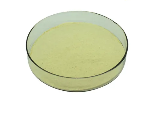 Docosahexaenoic Acid 10% DHA Powder CAS 6217-54-5 for Health