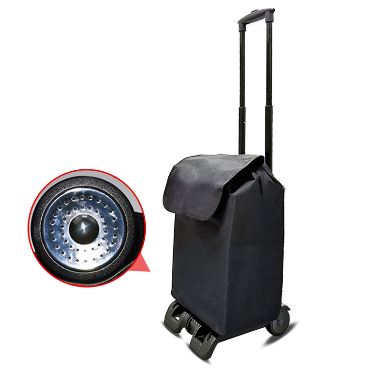 Folding Shopping Trolley 2 Wheel for Luggage Grocery Supermarket Plastic Shopping Carts