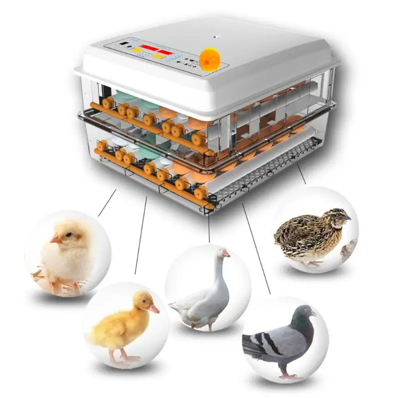220V Egg Incubators Brooder Bird Quail Chick Hatchery Incubator Incubators Hatching Eggs Automatic Tools EU/US Pumps White