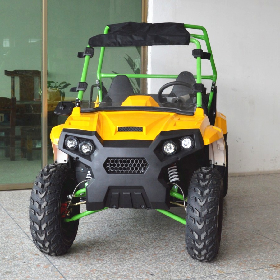 2019 Электрический утилитарный мотовездеход 1500 W/2000 W/3000 W
