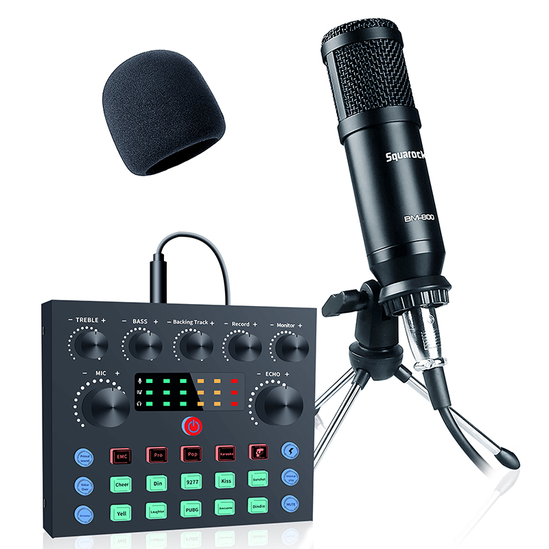 High Quality Audio Sound Card With Professional Condenser Microphone For Live Broadcast/Recording/Singing
