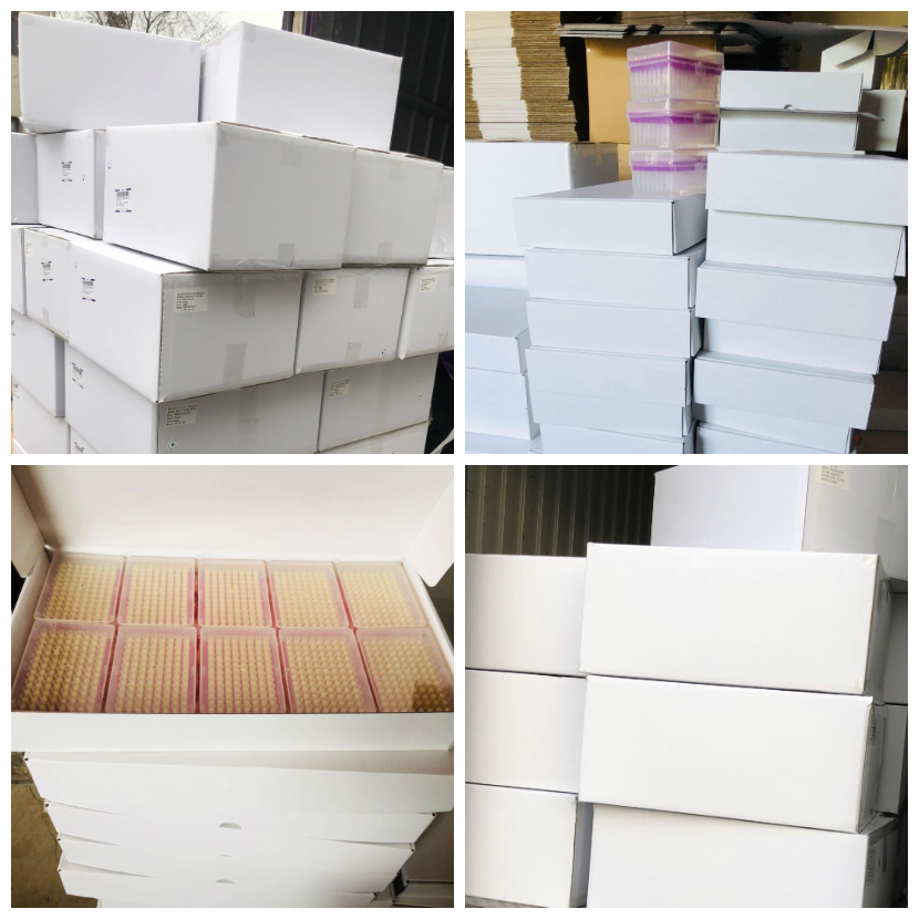 laboratory consumables disposable universal natural filter micro 300ul pipette tips