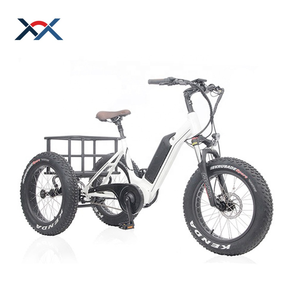 48 в 12 Ач SDI батарея E Trike 350 Вт Средний привод Электрический трехколесный велосипед Толстая шина