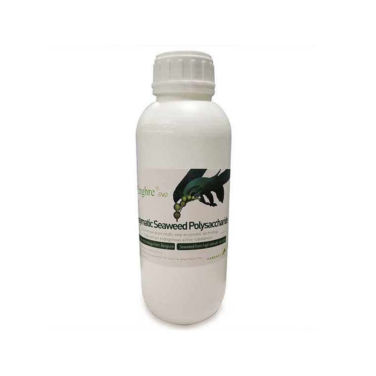Liquid seaweed extract ploysccharide fertilizer natural plant biostimulant