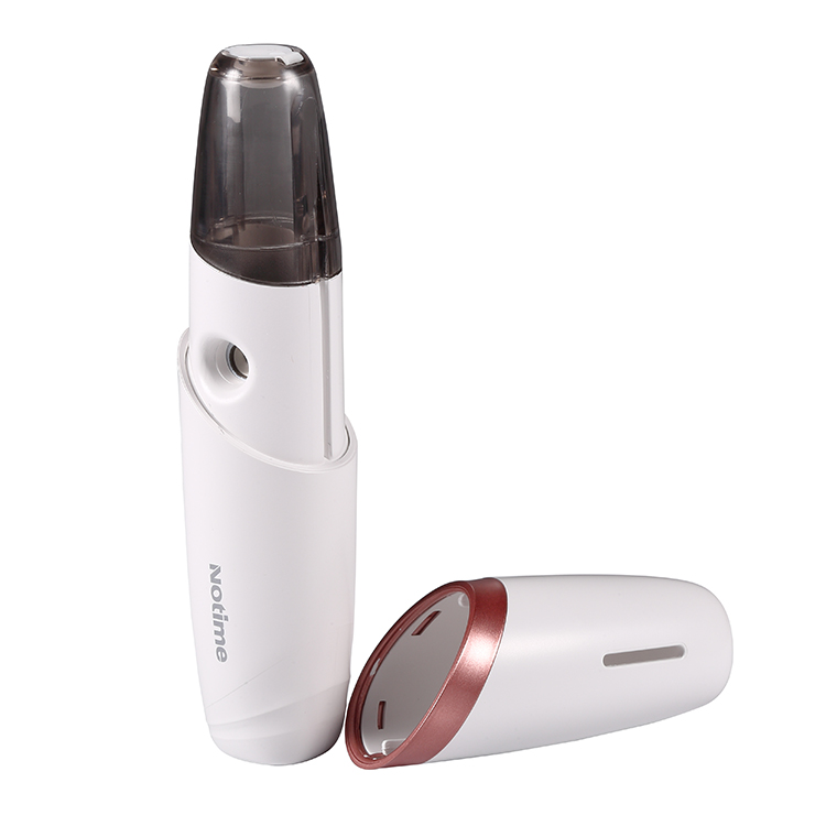 2020 Nano portable face mist sprayer misters facial beauty device equipment