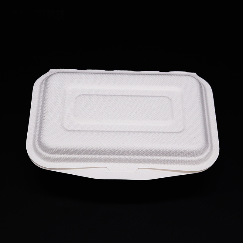 Competitive price Sugarcane pulp 350ml packaging box with Hinged Lid