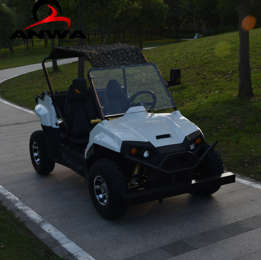 Электрический utv амфибия транспортные средства для продажи utv 3000W мотовездеход, 2 сиденья