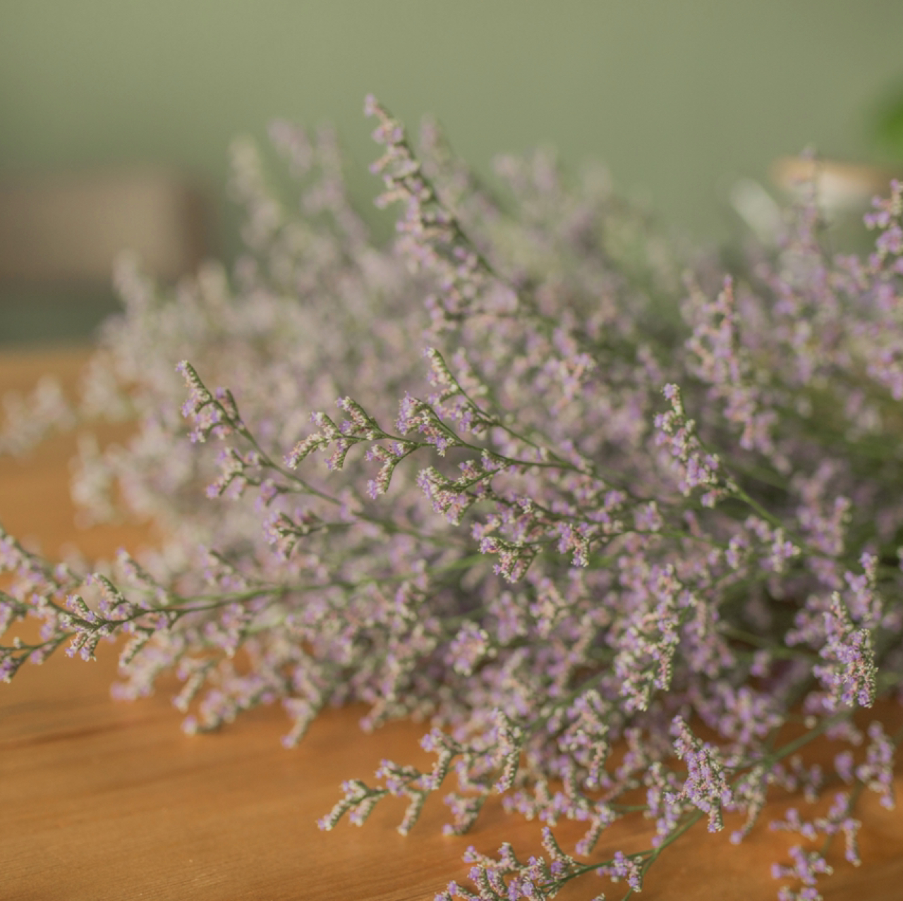fresh cutting flowers purple limonium by Yunnan flower fields directly supply