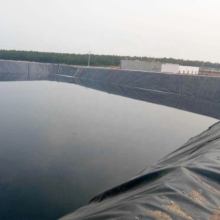 Рыба, противофильтрационная облицовка водоёма 0,25 мм-2,5 мм HDPE гидроизоляционная мембрана