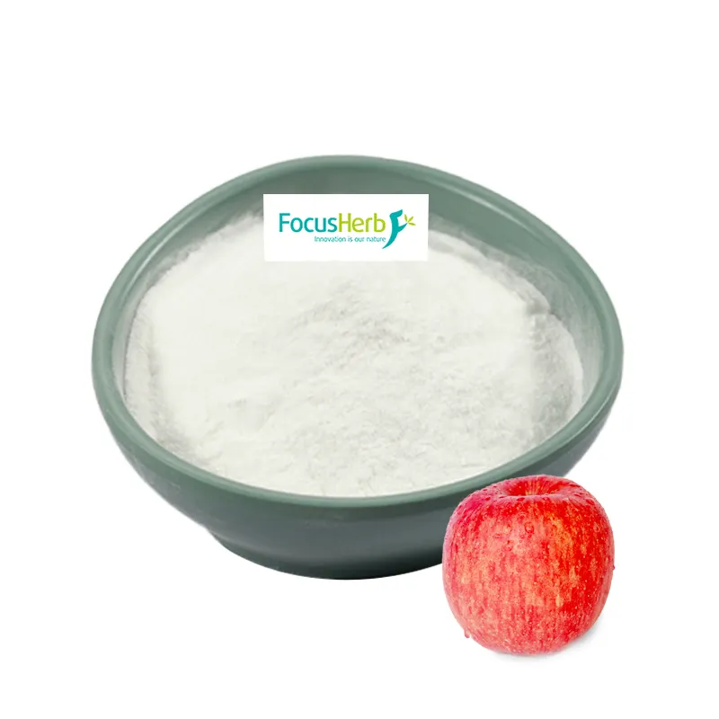 FocusHerb Organic Apple Cider Vinegar For Weight Loss Powder