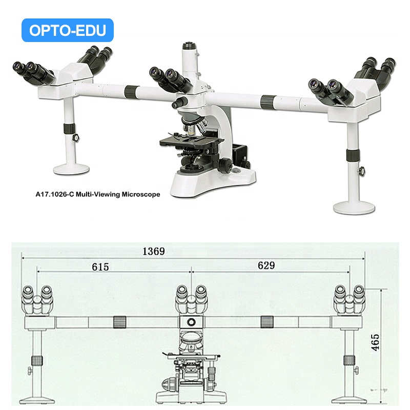 OPTO-EDU A17.1026-C 1000x5 положение мульти-просмотра микроскоп/микроскоп для 5 человек/Dual Core наблюдения микроскоп
