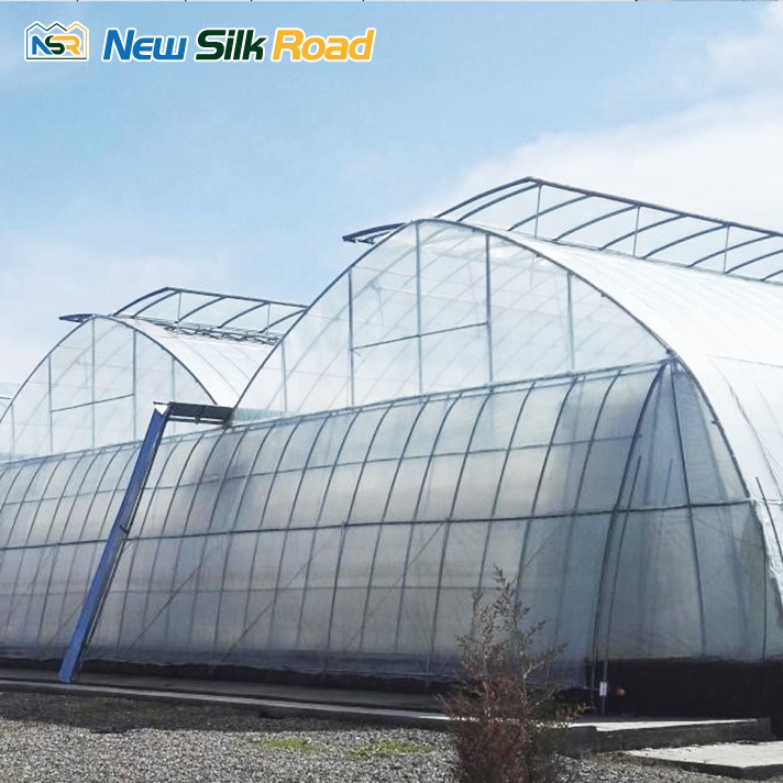 NSR Greenhouse Economical Plastic Vegetable Uzbekistan Greenhouse issiqxona