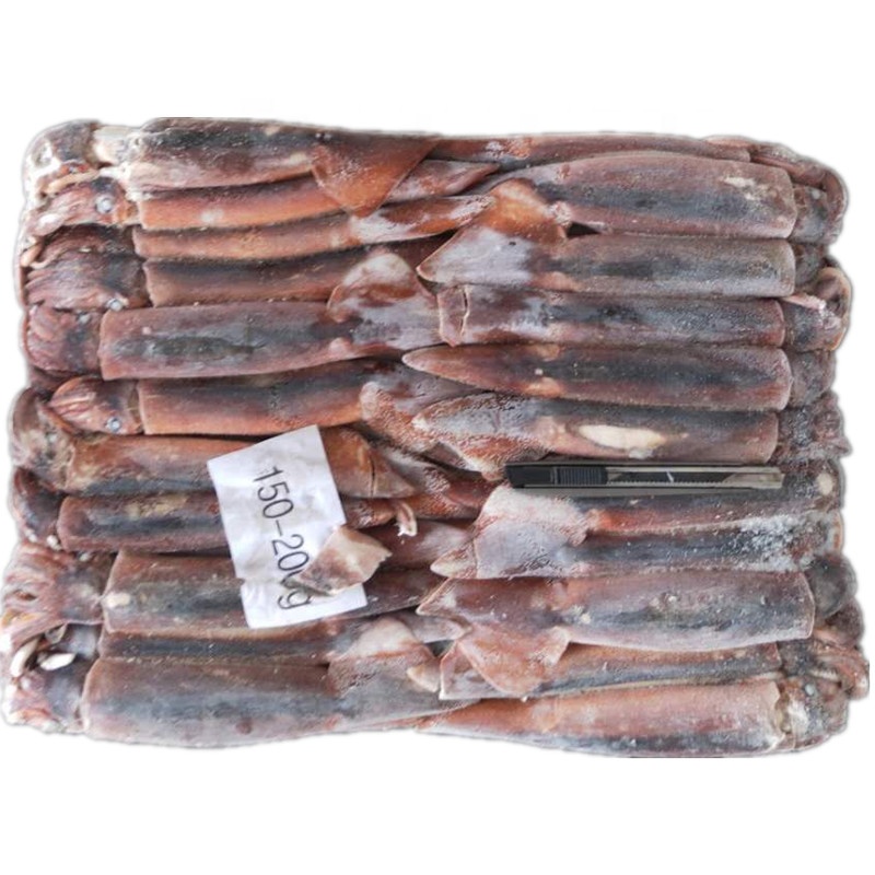 Морской замороженный кальмар illex для рыболовной приманки illex, Аргентина, кальмар