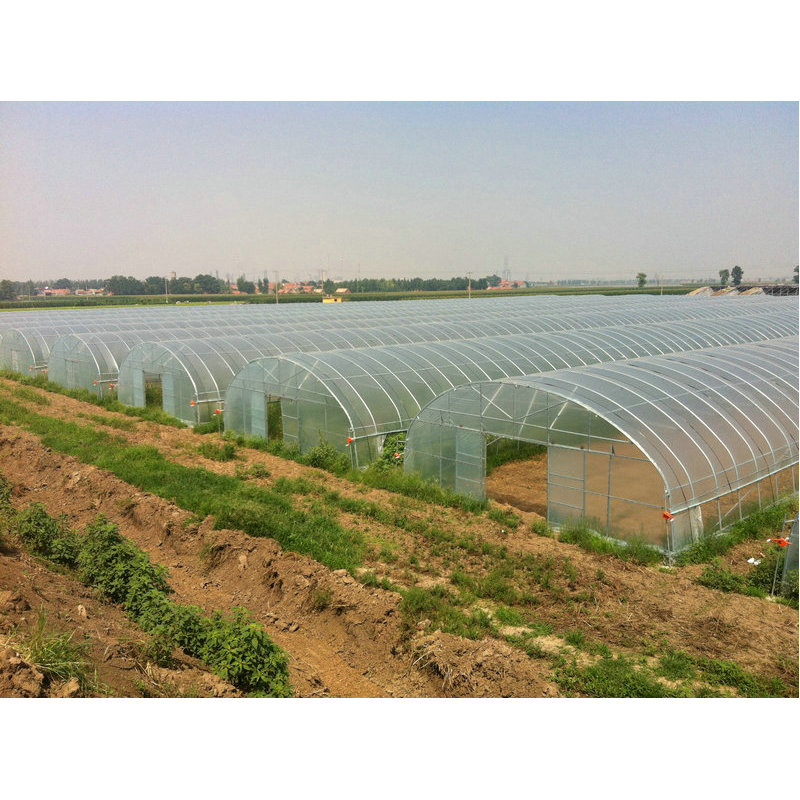 Горячая Распродажа сельскохозяйственный маленький однопролетный зеленый дом для гидропонного выращивания