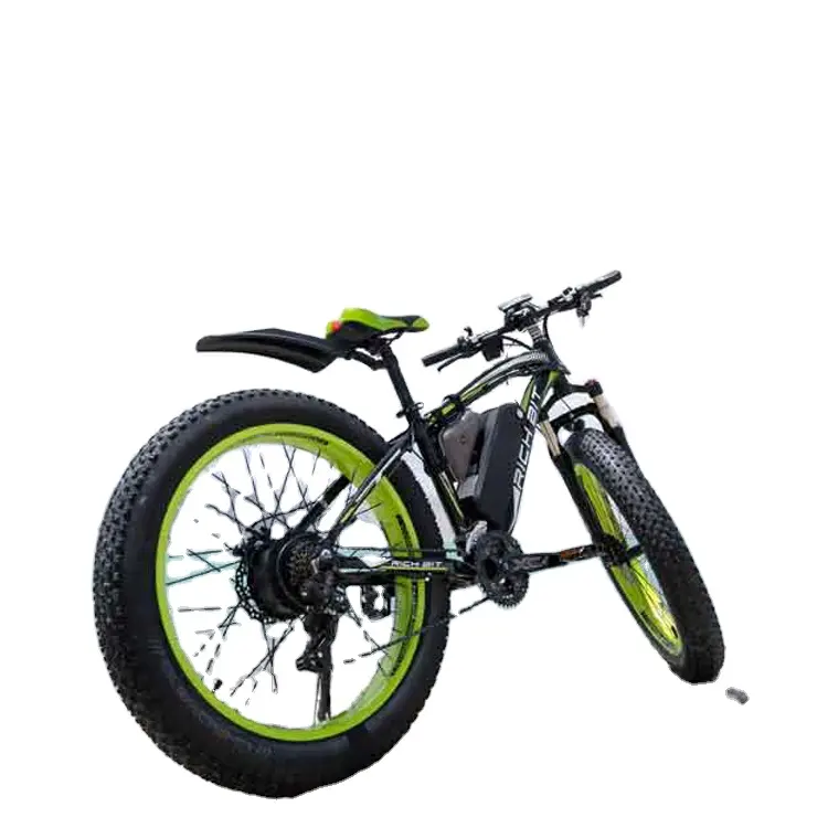 RICH BIT 2020 Wholesales electric bike Provide samples quickly 1000W electric dirt bike electric bicycle in Poland