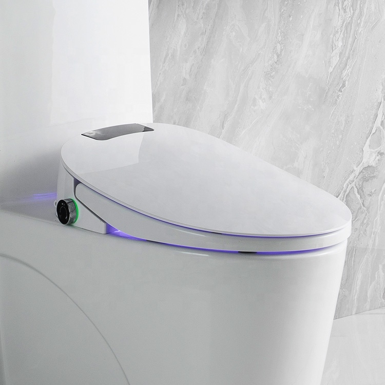 Smart toilet bidet seat cover with automatic intelligent functions in competitive offer