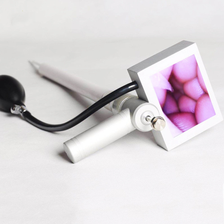 Veterinary visual insemination gun visual sperm gun with endoscope