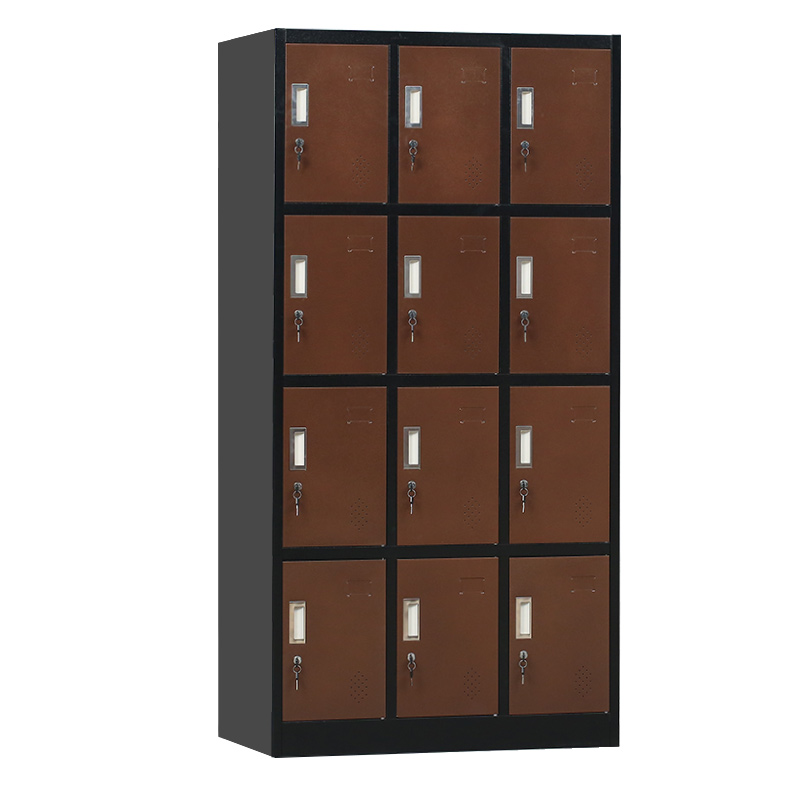 Exquisite chocolate color 12 compartments locker with keylock