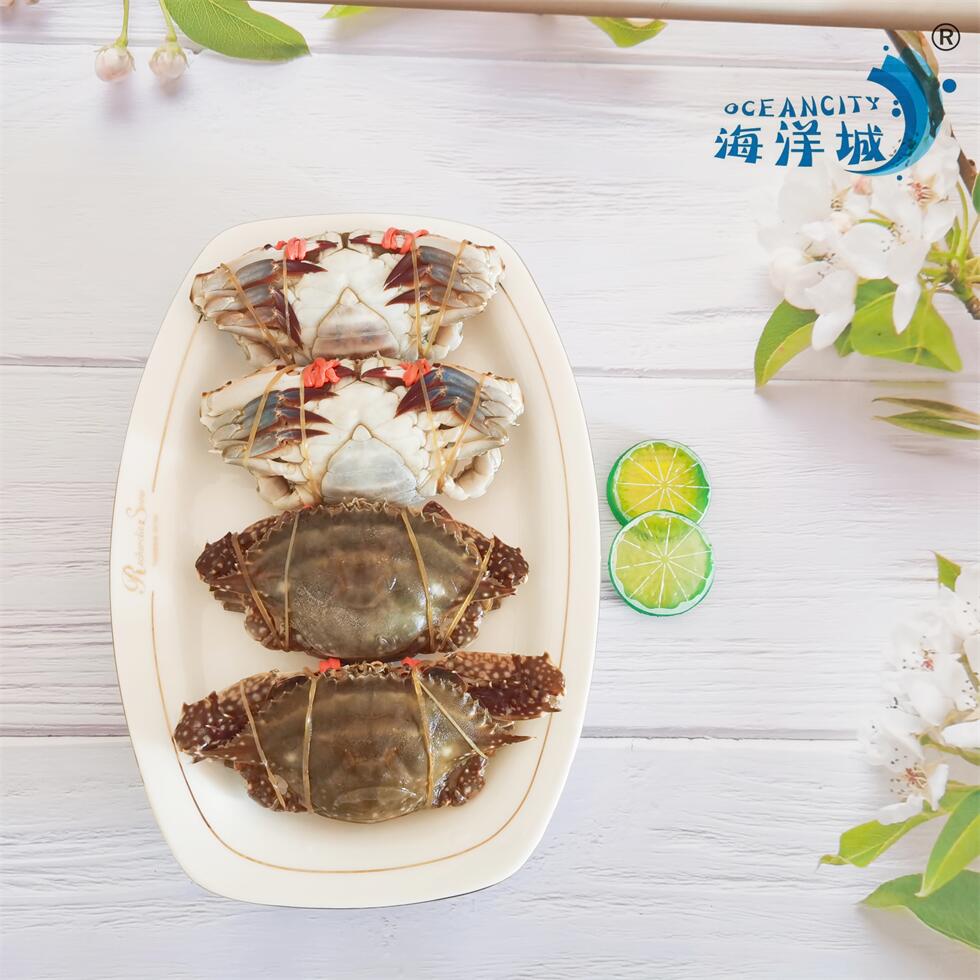 Натуральные свежие замороженные морепродукты плавательные крабы живые крабы быстрая замораживание at -40